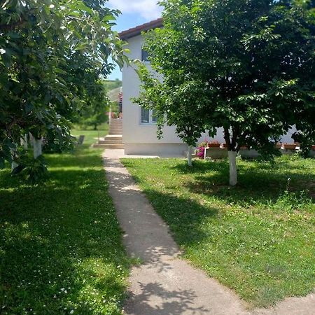 Apartman Flora Vrdnik Exterior foto