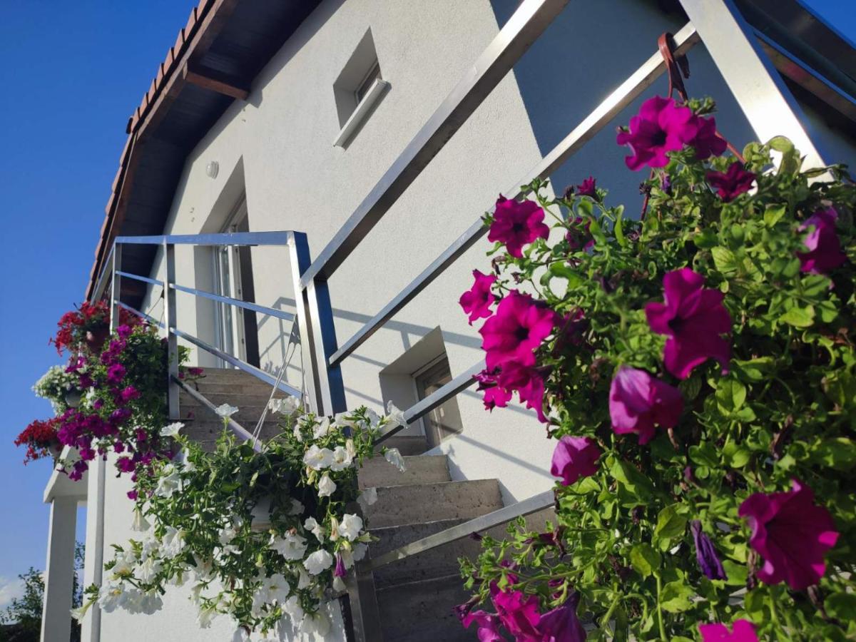 Apartman Flora Vrdnik Exterior foto